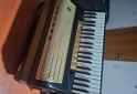 Instrumentos Musicales - Hohner 120 bajos - En Venta