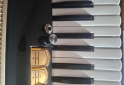 Instrumentos Musicales - Hohner 120 bajos - En Venta