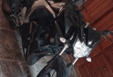 Motos - Yamaha Fz Fi 2018 Nafta 17000Km - En Venta