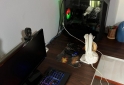 Informática - PC Gamer completa, con accesorios - En Venta