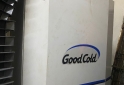 Otros - CAMARA DE CONGELADOS GOOD COLD - En Venta