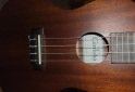Instrumentos Musicales - Lote Instrumental Musical Guitarra Electrica Acustica Ukelele - En Venta