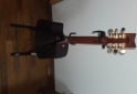 Instrumentos Musicales - Guitarras - En Venta
