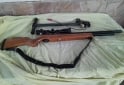 Deportes - Rifle PCP - En Venta