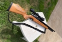 Deportes - Rifle PCP - En Venta