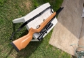 Deportes - Rifle PCP - En Venta