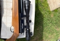 Deportes - Rifle PCP - En Venta