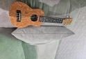Instrumentos Musicales - Ukelele Marca DIDO NUEVO CON FUNDA - En Venta