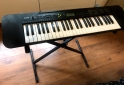 Instrumentos Musicales - Órgano CASIO CTK-240 + PIE - En Venta