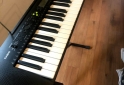 Instrumentos Musicales - Órgano CASIO CTK-240 + PIE - En Venta