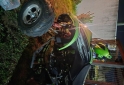 Cuatris y UTVs - Keller Rr 2011 10000Km - En Venta