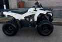 Cuatris y UTVs - Zanella G-Force 2022 4600Km - En Venta