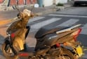 Motos - Honda ELITE 125 cc 2020 Nafta 35000Km - En Venta