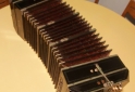 Instrumentos Musicales - Bandoneon Doble A Alemán - En Venta