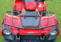 Cuatris y UTVs - Kawasaki BRUTE FORCE 300 2025 492Km - En Venta