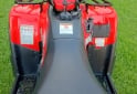 Cuatris y UTVs - Kawasaki BRUTE FORCE 300 2025 492Km - En Venta