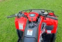 Cuatris y UTVs - Kawasaki BRUTE FORCE 300 2025 492Km - En Venta