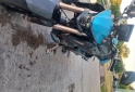 Motos - Zontes R310 2024 Nafta 11500Km - En Venta