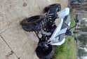 Cuatris y UTVs - Zanella Fx 250 2025 600Km - En Venta