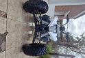 Cuatris y UTVs - Zanella Fx 250 2025 600Km - En Venta