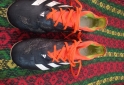 Indumentaria - Adidas Predator - En Venta
