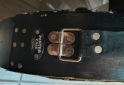 Instrumentos Musicales - Estuche para platillos panter Case - En Venta
