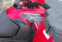 Cuatris y UTVs - Polaris Sportsman 500 H.O 4X4 2010 18000Km - En Venta