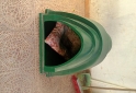 Otros - Cucha - En Venta