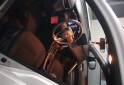 Camionetas - Toyota Corolla cross 2024 Nafta 17000Km - En Venta