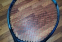 Deportes - Raqueta Yonex Ezone 100 grafito - En Venta