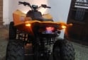 Cuatris y UTVs - Zanella Madmax 300cc 2013 742Km - En Venta