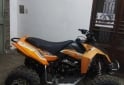 Cuatris y UTVs - Zanella Madmax 300cc 2013 742Km - En Venta