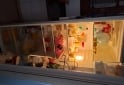 Hogar - Heladera - En Venta