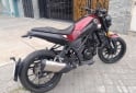 Motos - Benelli Leoncino 250 2024 Nafta 9000Km - En Venta