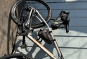 Deportes - Foxter Ft1.0 Powell - En Venta
