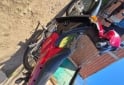 Motos - Honda Wave 2012 Nafta 50000Km - En Venta