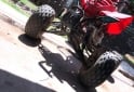 Cuatris y UTVs - Motomel Gorilla 2018 10000Km - En Venta
