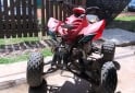 Cuatris y UTVs - Motomel Gorilla 2018 10000Km - En Venta