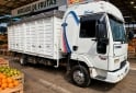Camiones y Grúas - Ford Cargo 915 - En Venta