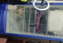 Hogar - Exhibidora Inelro - En Venta
