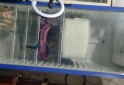 Hogar - Exhibidora Inelro - En Venta