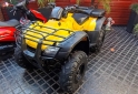 Cuatris y UTVs - Honda TRX 2007 5400Km - En Venta