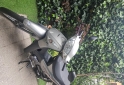 Motos - Keller Crono Classic 110cc 2025 Nafta 4600Km - En Venta