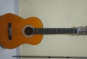 Instrumentos Musicales - Guitarra acústica Foglia acg20 - En Venta