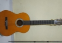 Instrumentos Musicales - Guitarra acústica Foglia acg20 - En Venta