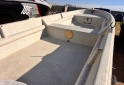 Embarcaciones - Bote cachorro 510 mercury 15 hp 2t 2013 sin trailer 40 hs de uso - En Venta