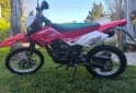 Motos - Motomel Skua xtreme 125 2023 Nafta 484Km - En Venta