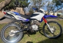 Motos - Motomel SKUA V6 150 2017 Nafta 222587Km - En Venta