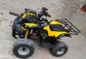 Cuatris y UTVs - Otra marca Scout tenn farmer 2007 111111Km - En Venta
