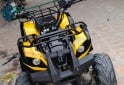 Cuatris y UTVs - Otra marca Scout tenn farmer 2007 111111Km - En Venta